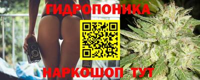 шишки Краснокаменск
