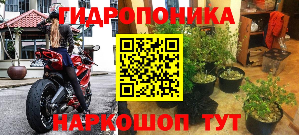 Конопля VHQ Армавир